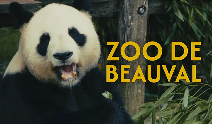 photo de Clip vidéo